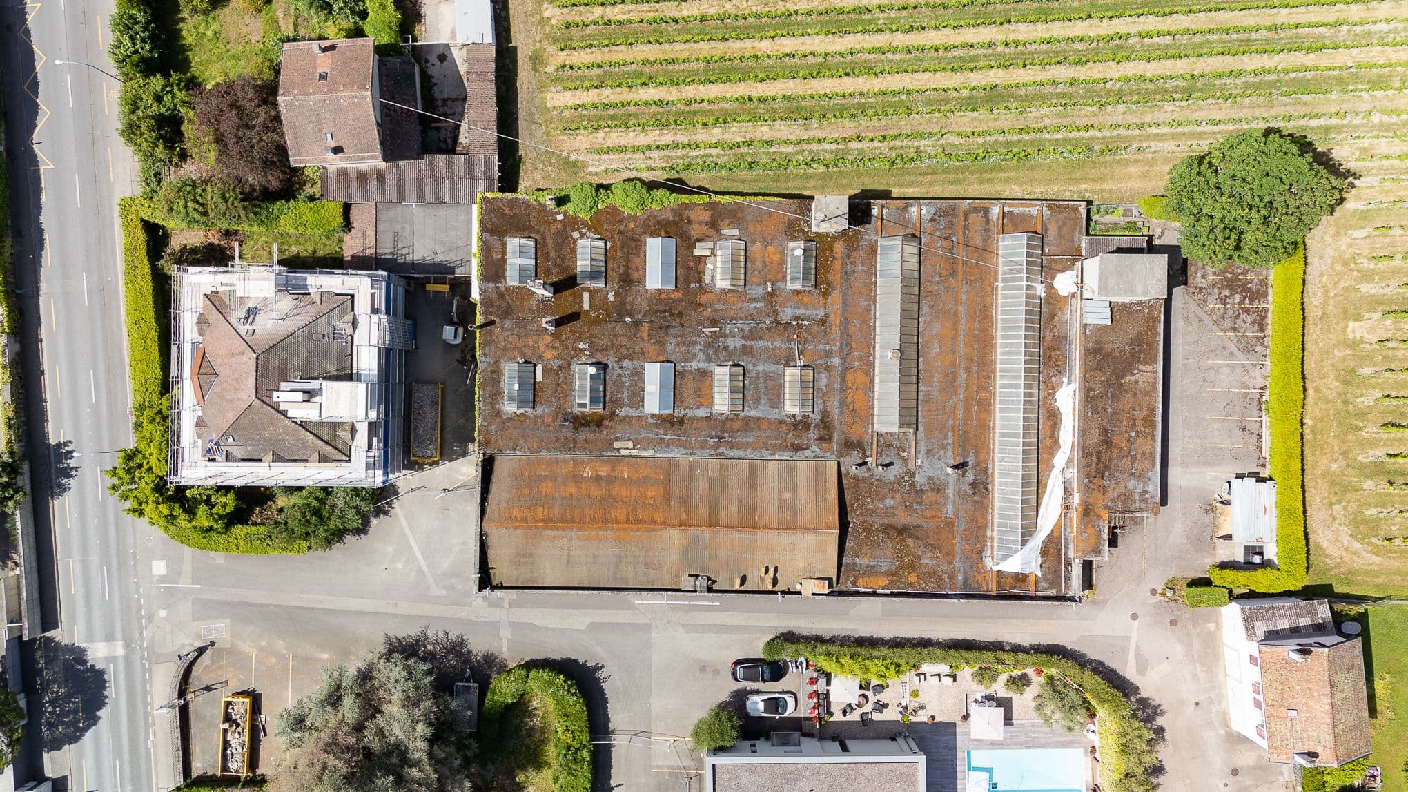 DJI_20250625111745_0560_D.jpg