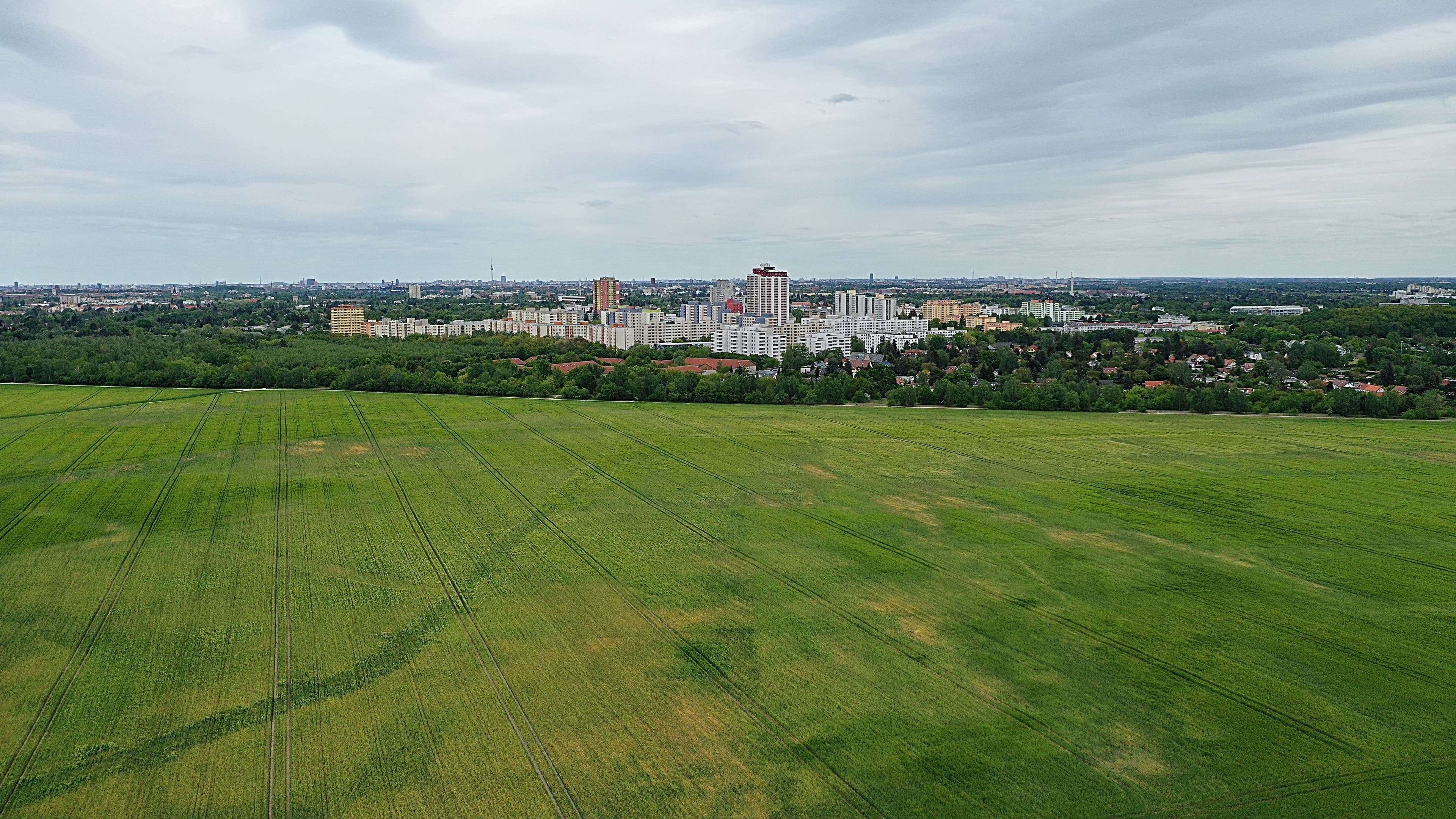 aerial-view-of-a-green-field-with-city-buildings-i-2025-02-09-01-54-34-utc.jpeg